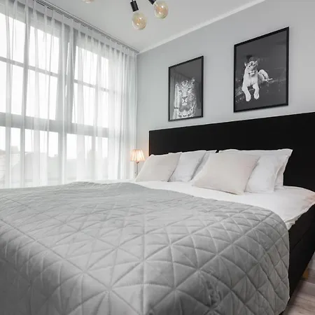 Flatbook - Center Dwie Motlawy *