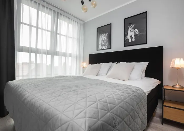 Flatbook - Center Dwie Motlawy *